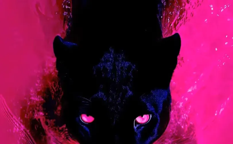 壁纸分享｜氛围感壁纸