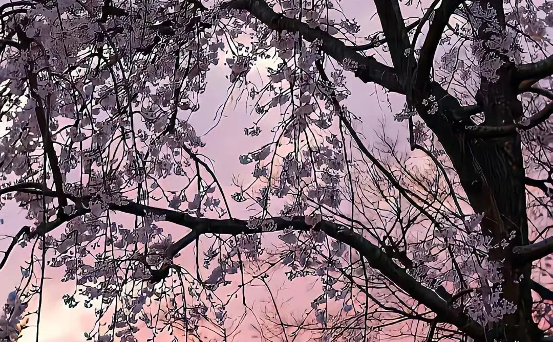 今日壁纸分享🌈ios26氛围感壁纸