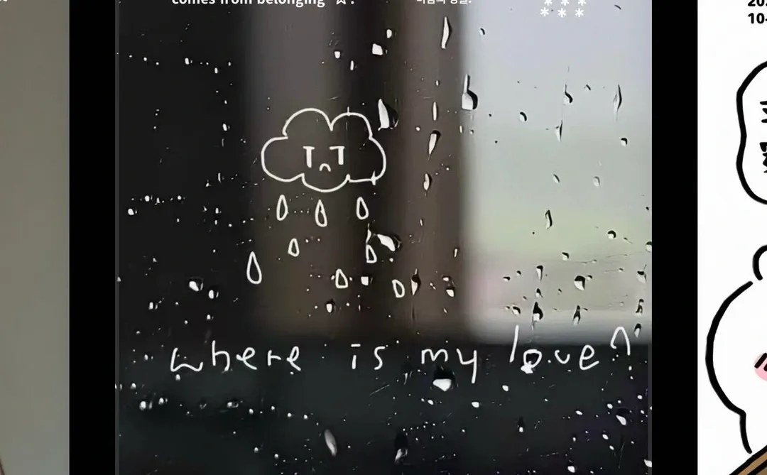 谁懂！下雨天的氛围感壁纸好有感觉啊！🌧️