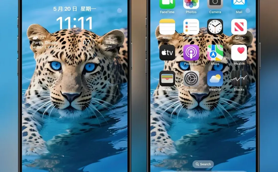 【壁纸分享】蓝眼金钱豹🤩