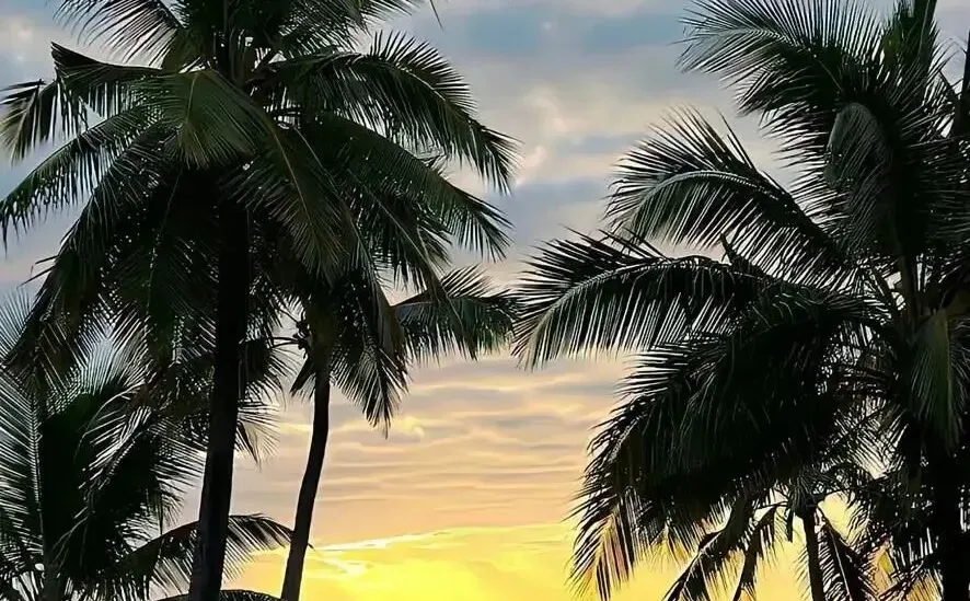 𝑺𝒉𝒂𝒓𝒆｜8K超清全屏壁纸