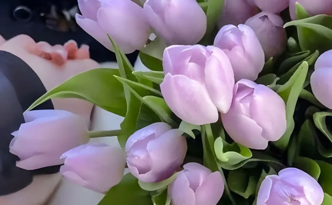 苹果布局绝美壁纸分享！宝们自取！