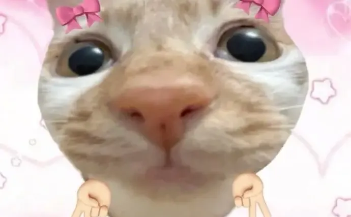 表情包 | 宝见，受你一靠子