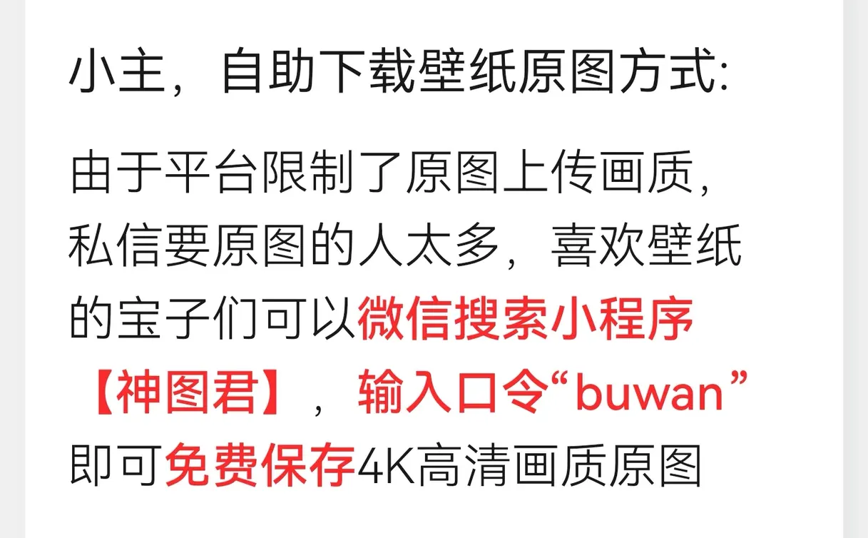 今日壁纸|小清新