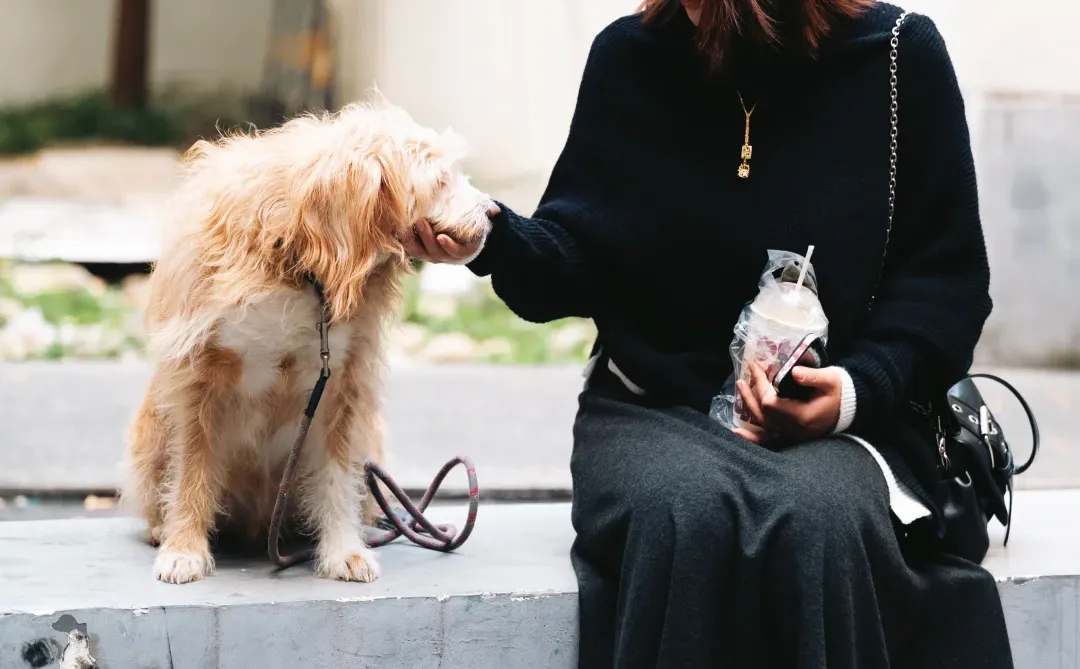 长这样能做寄拍博主吗😿