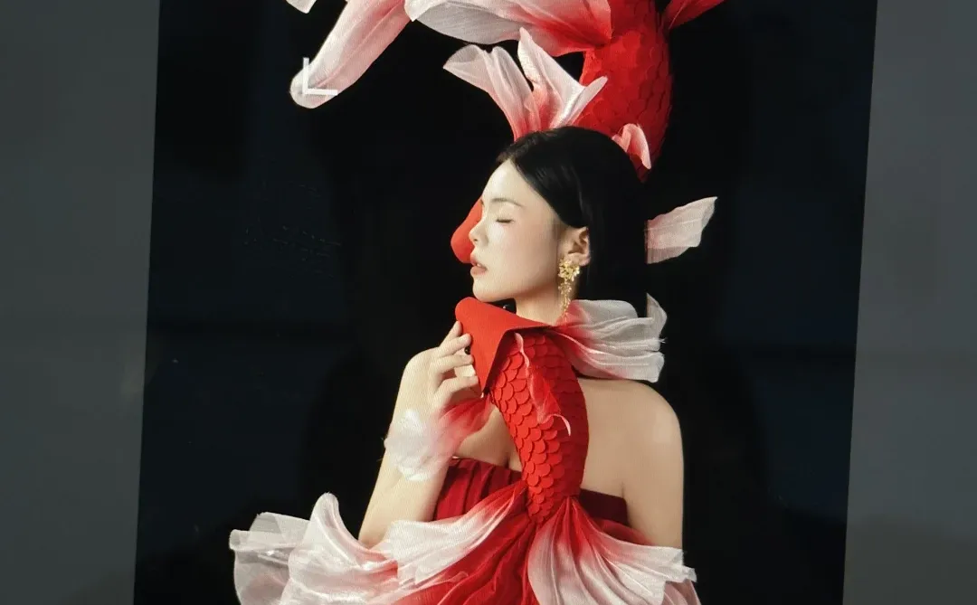 全网爆火的锦鲤