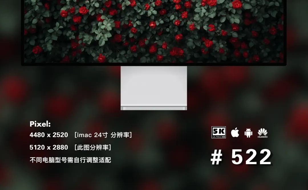 绿叶红花 壁纸4端丨高级感花朵壁纸