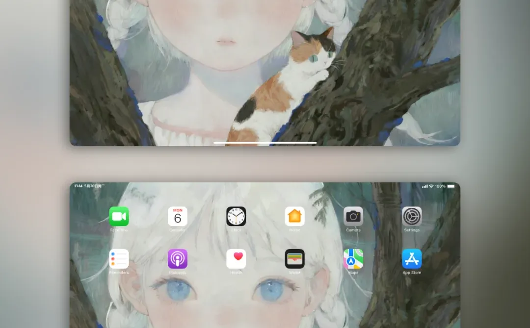 林间少女与猫｜壁纸氛围感绝了