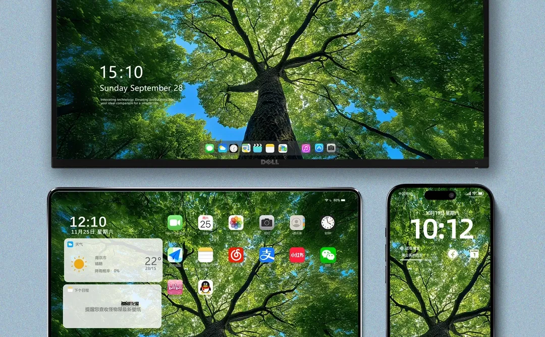 壁纸｜把树种在了桌面上🌳🌳🌳