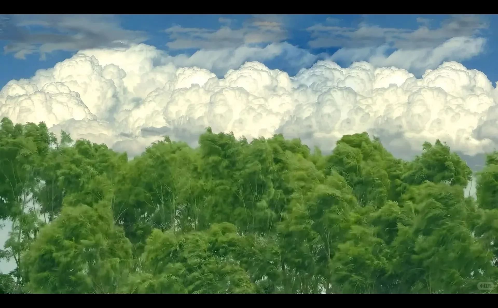 动态壁纸背景图