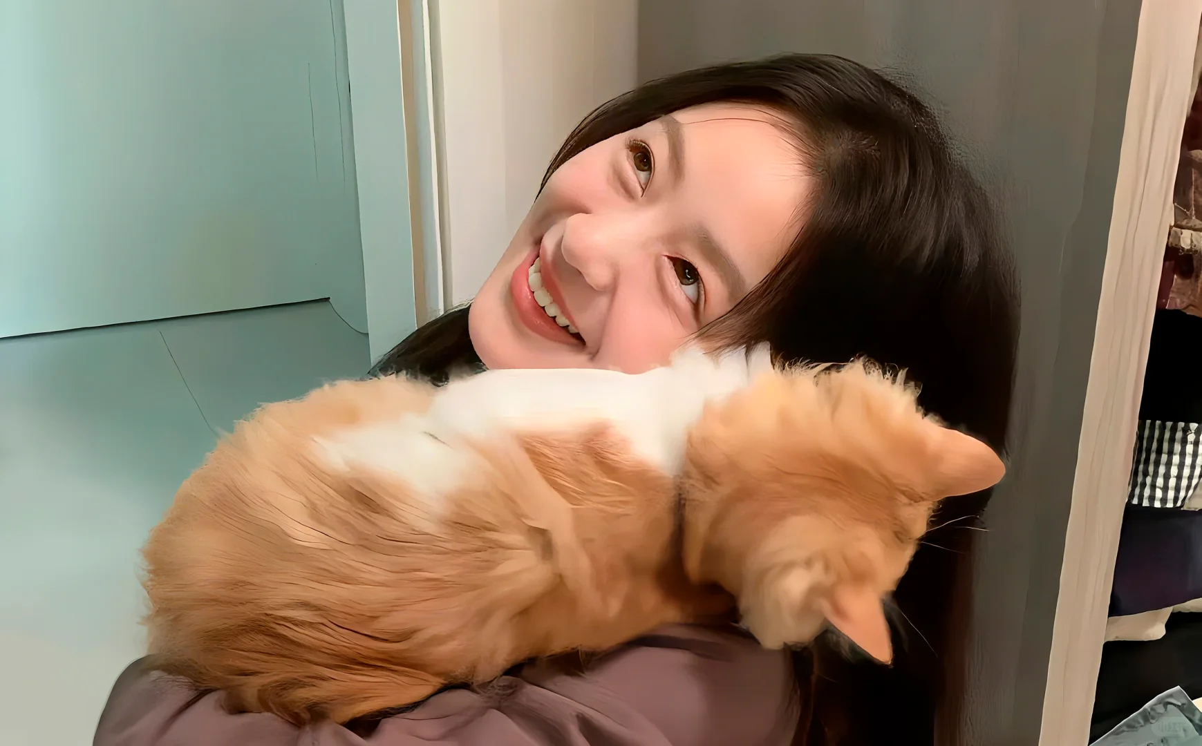 Plog博主都在用的ins风壁纸，公主👸请自取