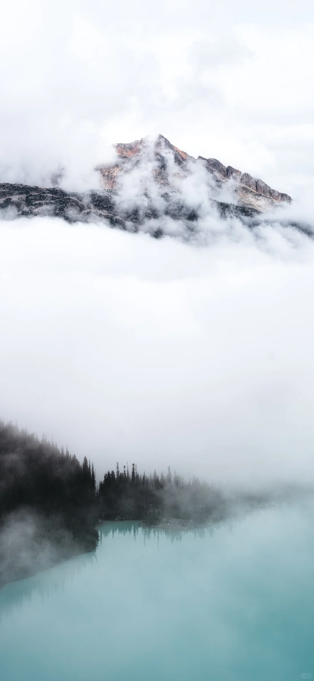今日壁纸分享，放松一下，看看风景