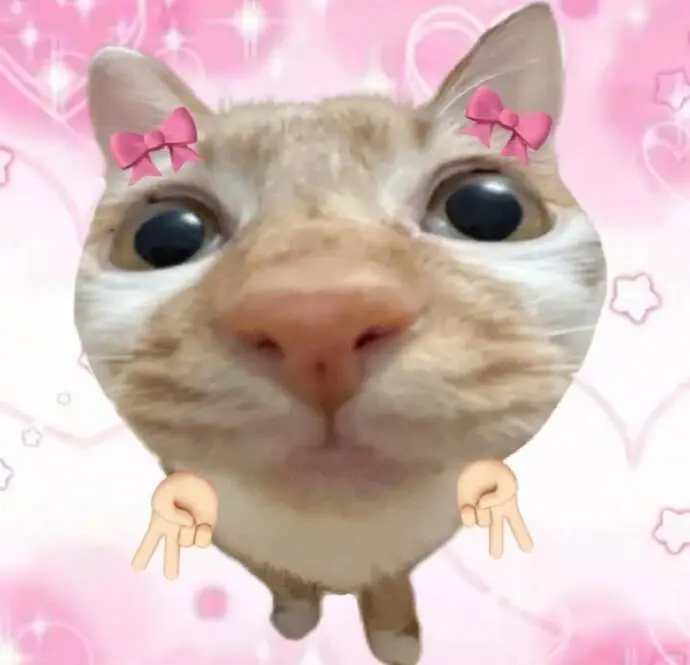 表情包 | 宝见，受你一靠子