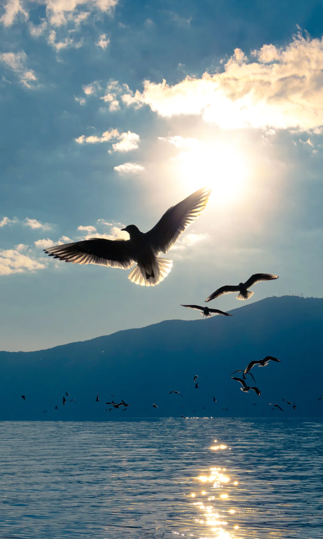 “星星落在树上””