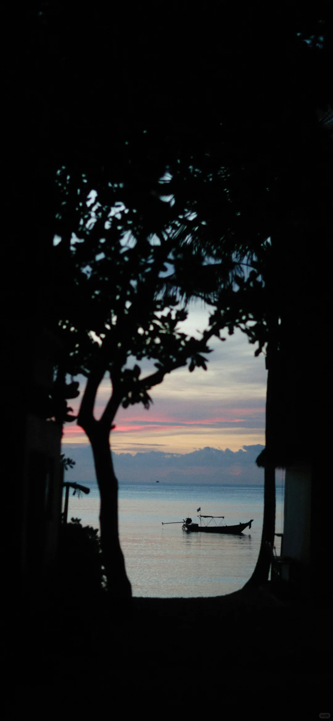 壁纸分享给你们