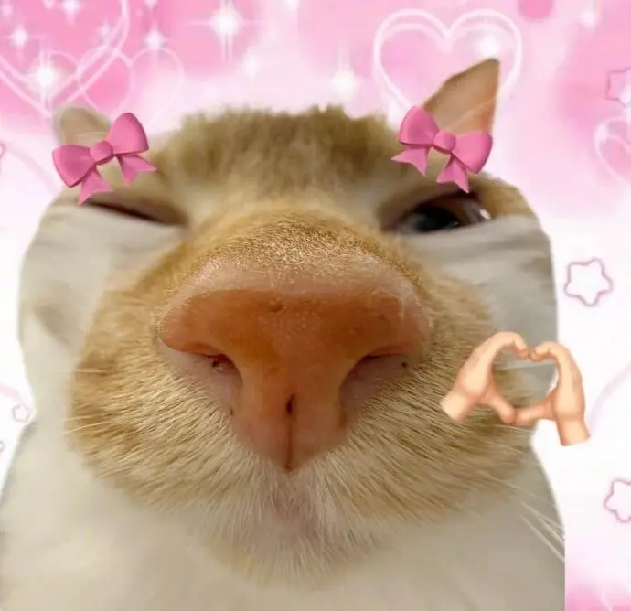 表情包 | 宝见，受你一靠子