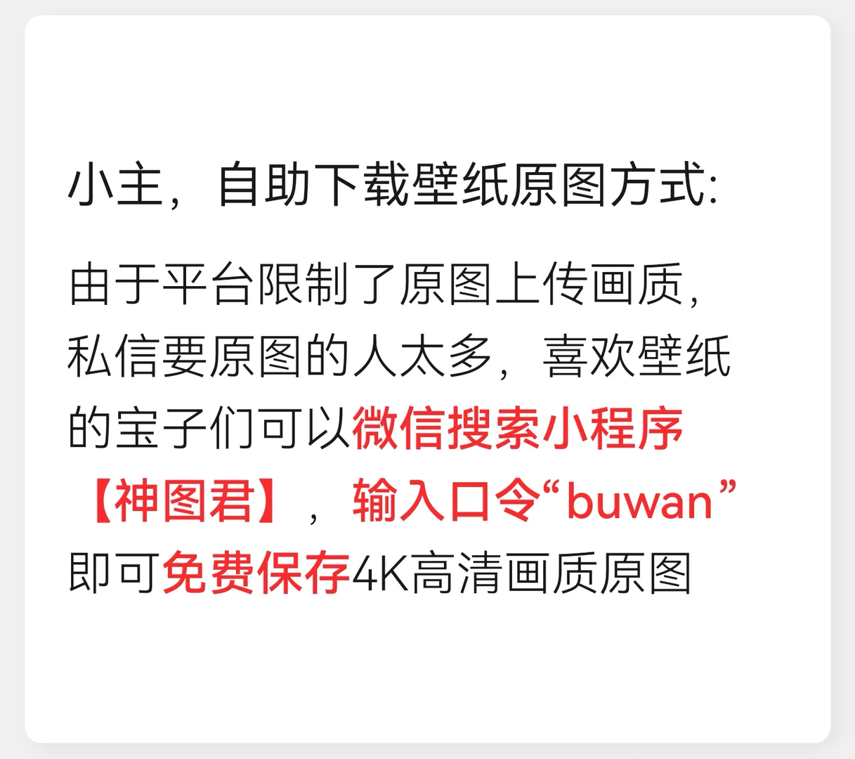 今日壁纸|小清新