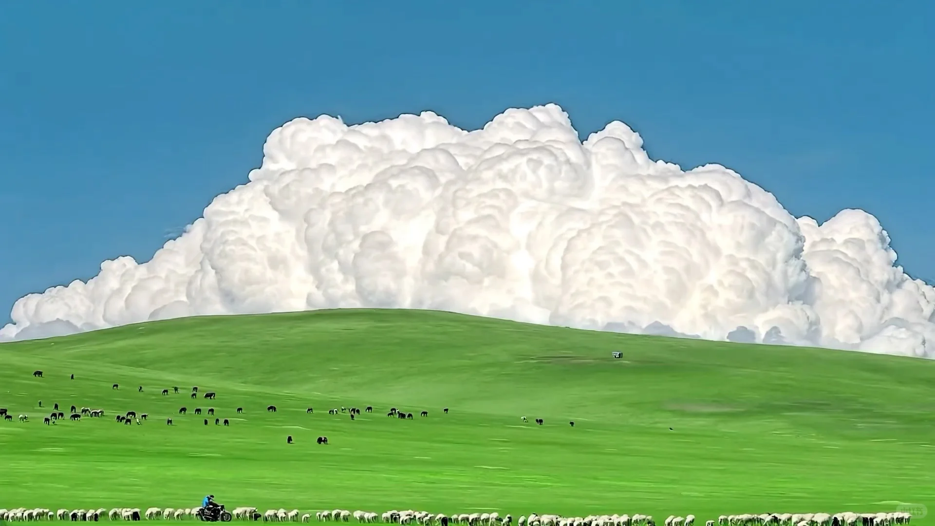 动态壁纸背景图