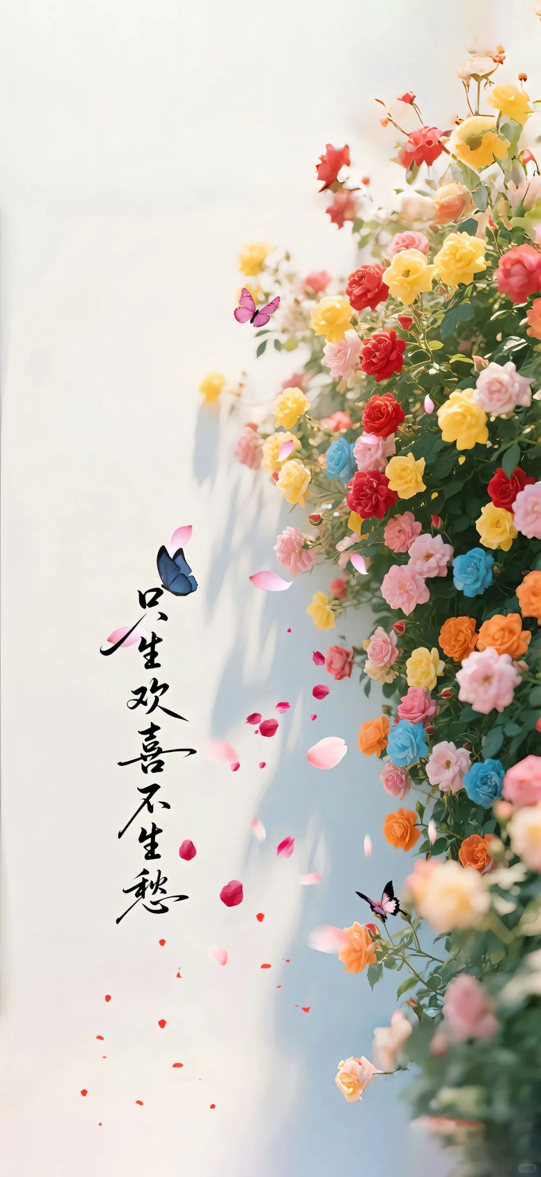 💐一路繁花 | 治愈系图文壁纸，美到犯规