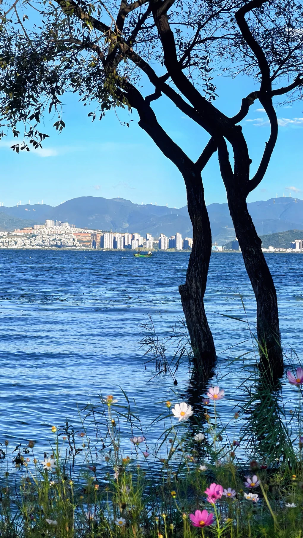 风景配套手机壁纸