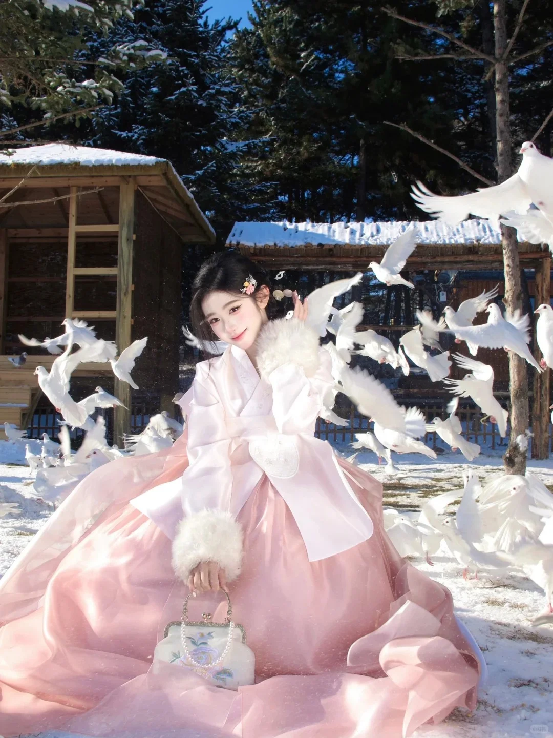 延吉公主雪景➕CCD📸➕女摄（299r全包）