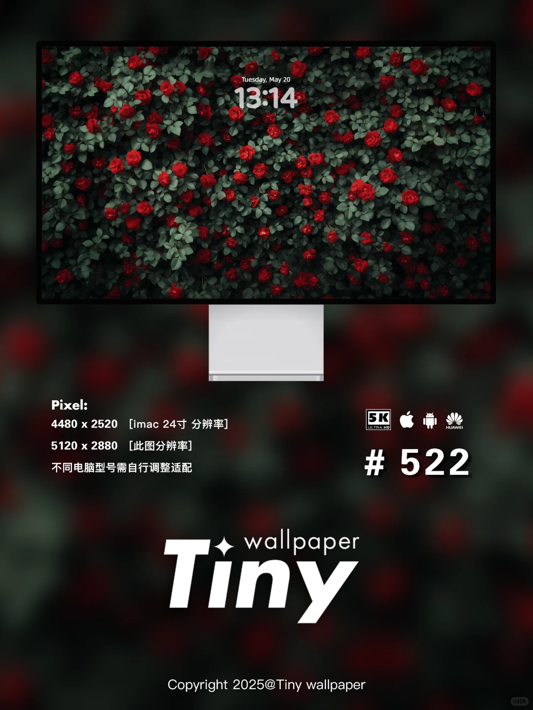 绿叶红花 壁纸4端丨高级感花朵壁纸