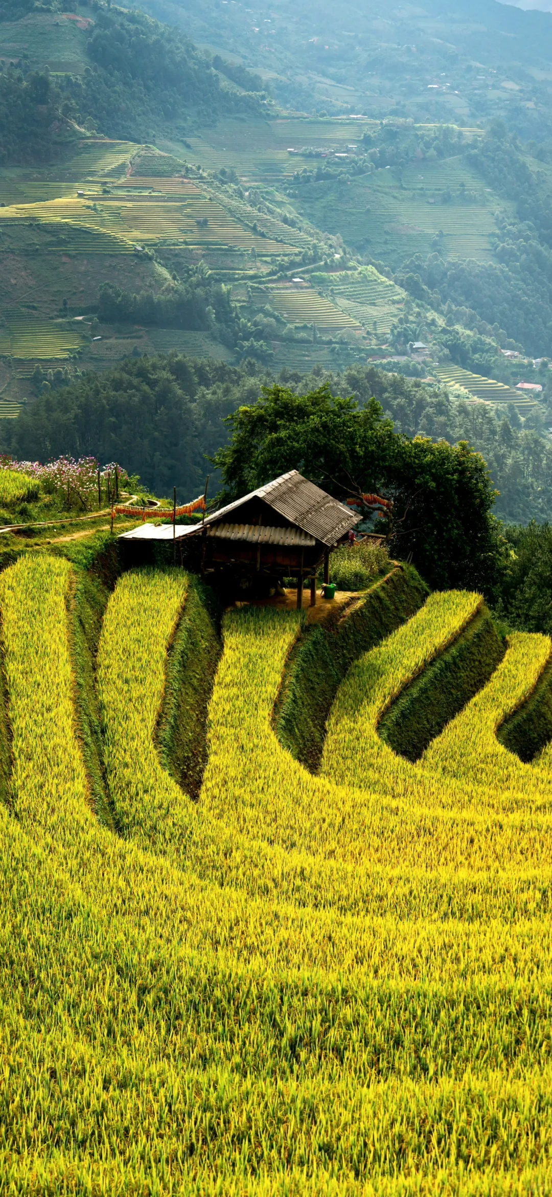 换个壁纸，换份心情