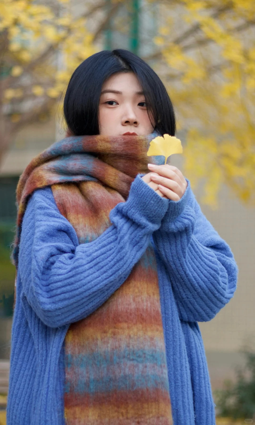 成都女摄约拍｜不知不觉又过了一个秋🍂