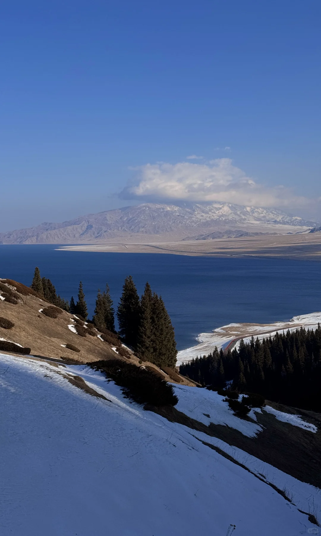 全屏live❄️live in winter