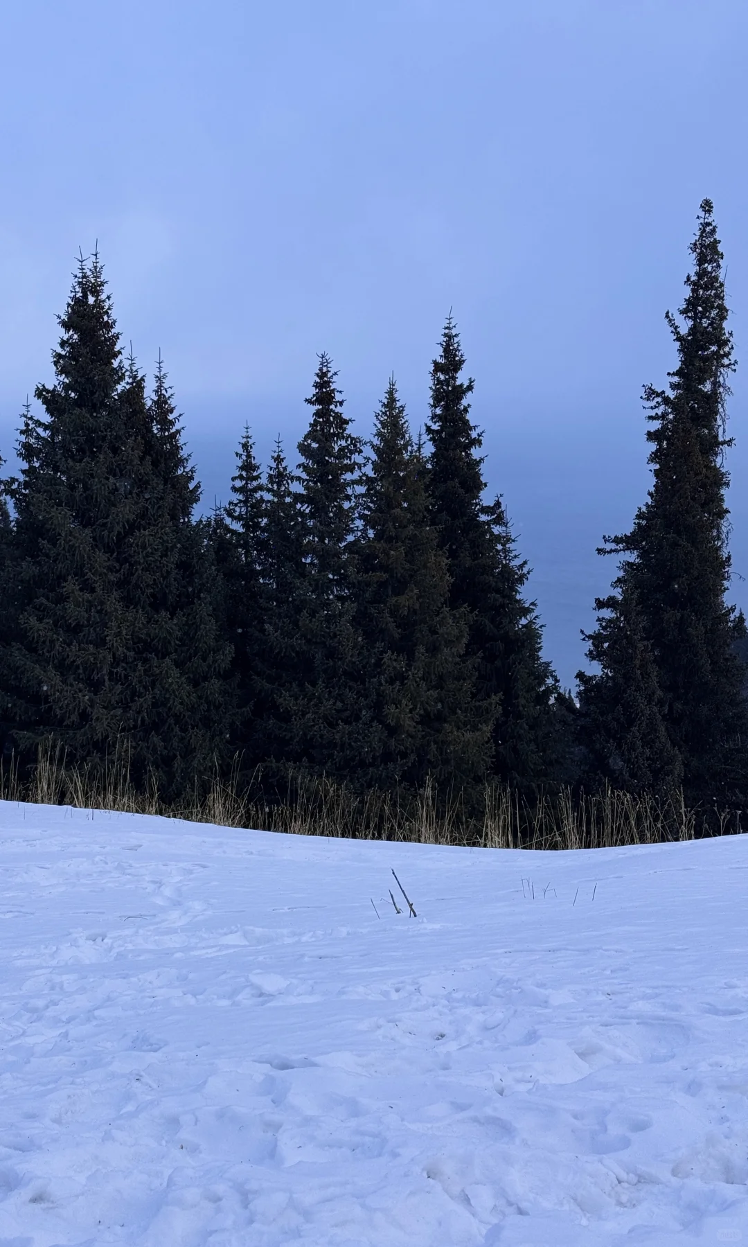 全屏live❄️live in winter