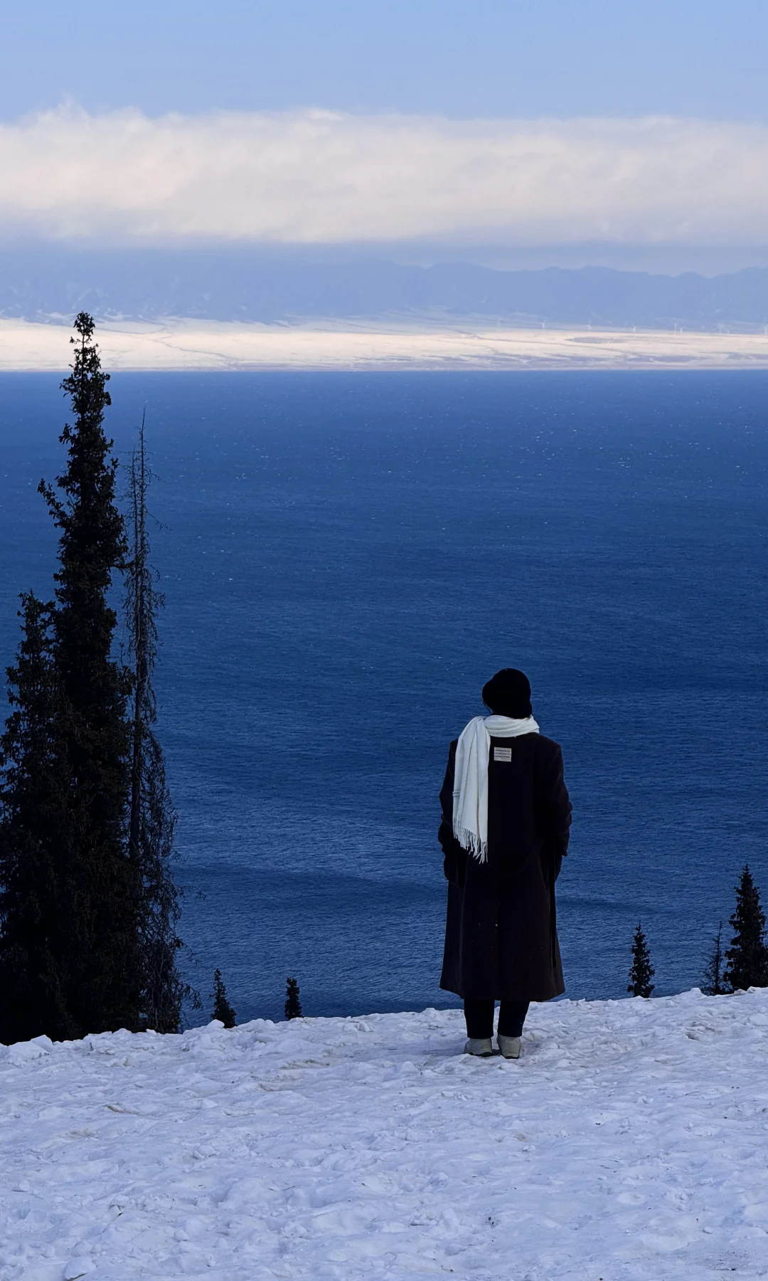 全屏live❄️live in winter