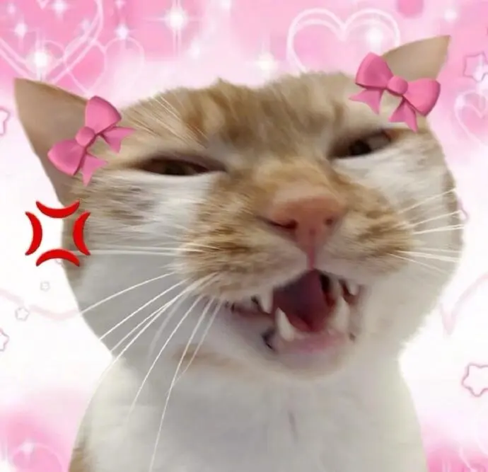 表情包 | 宝见，受你一靠子