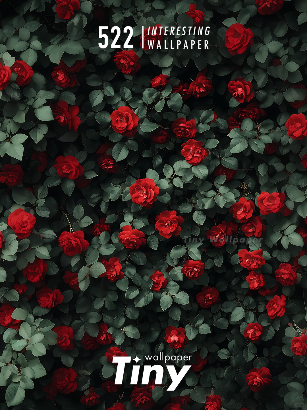 绿叶红花 壁纸4端丨高级感花朵壁纸