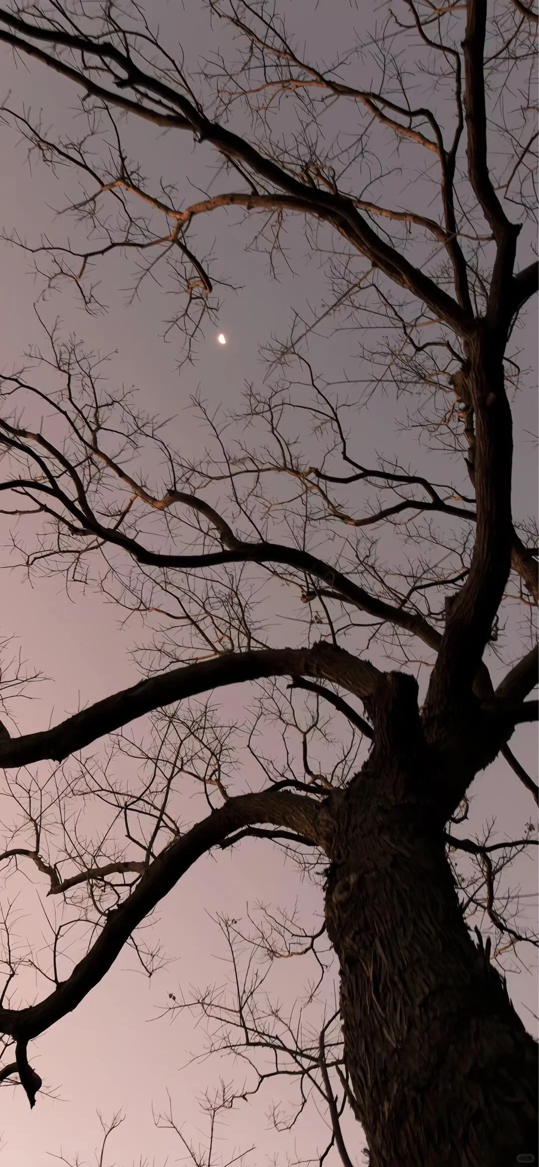 今日壁纸分享🌈ios26氛围感壁纸