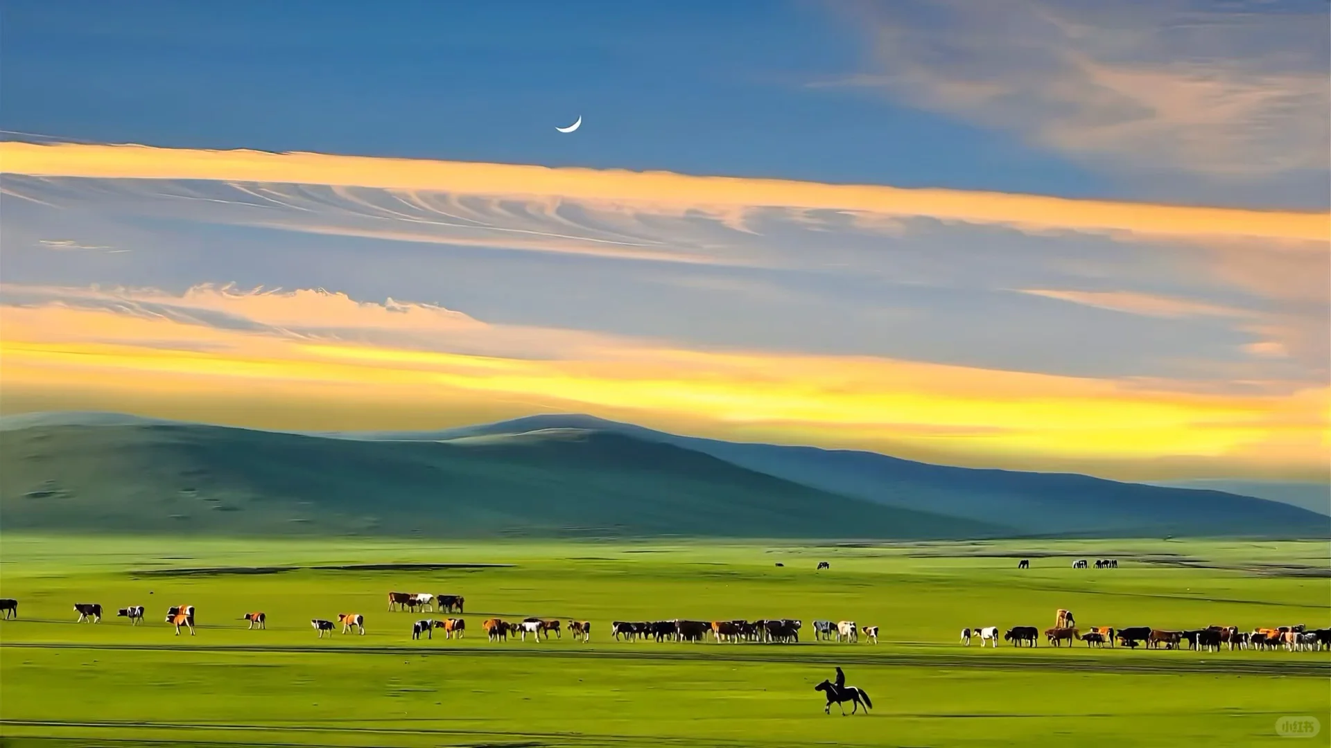 动态壁纸背景图