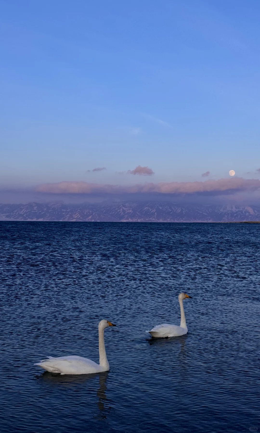 全屏live❄️live in winter