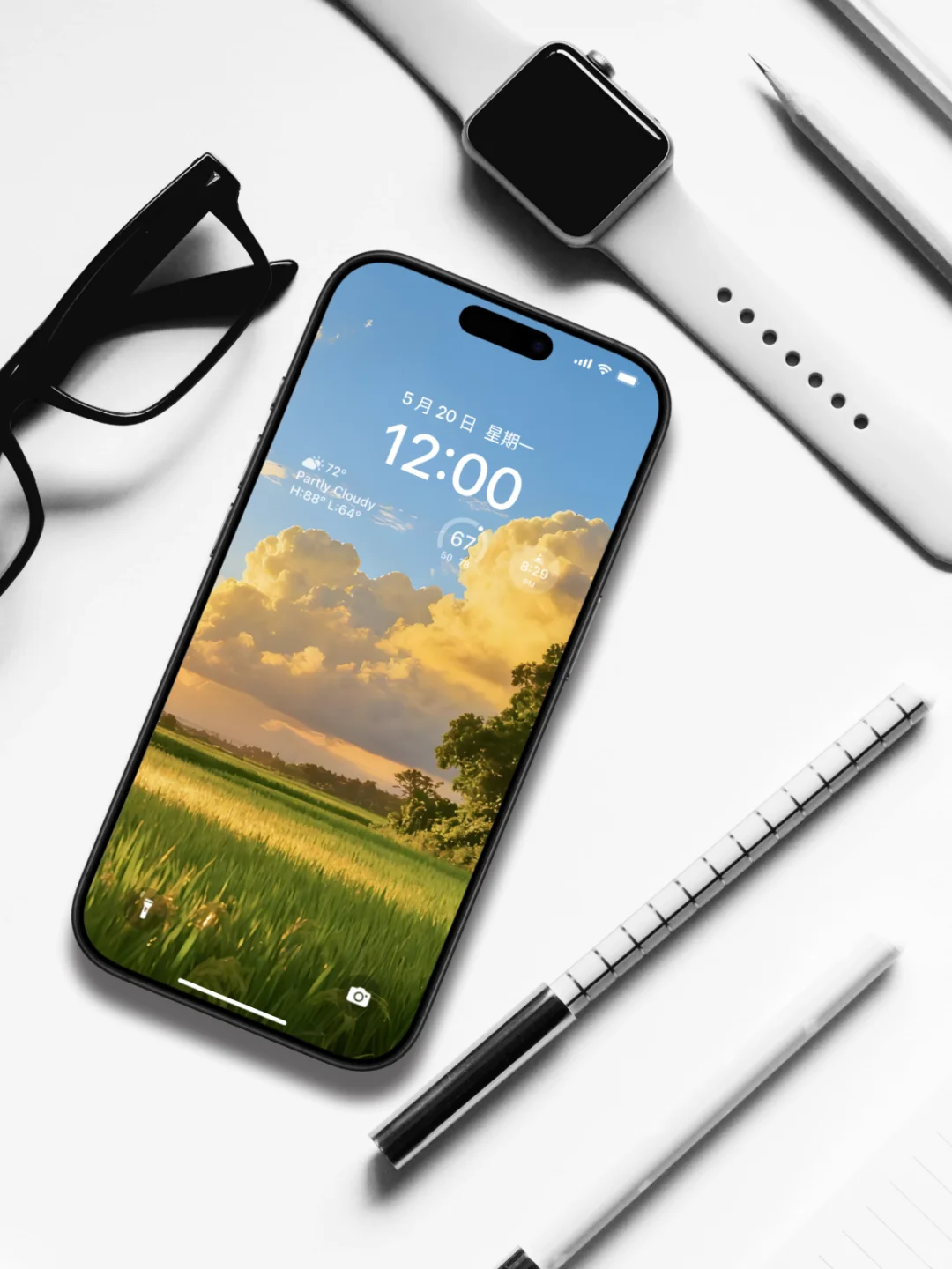 电脑壁纸 A-12落日双镜