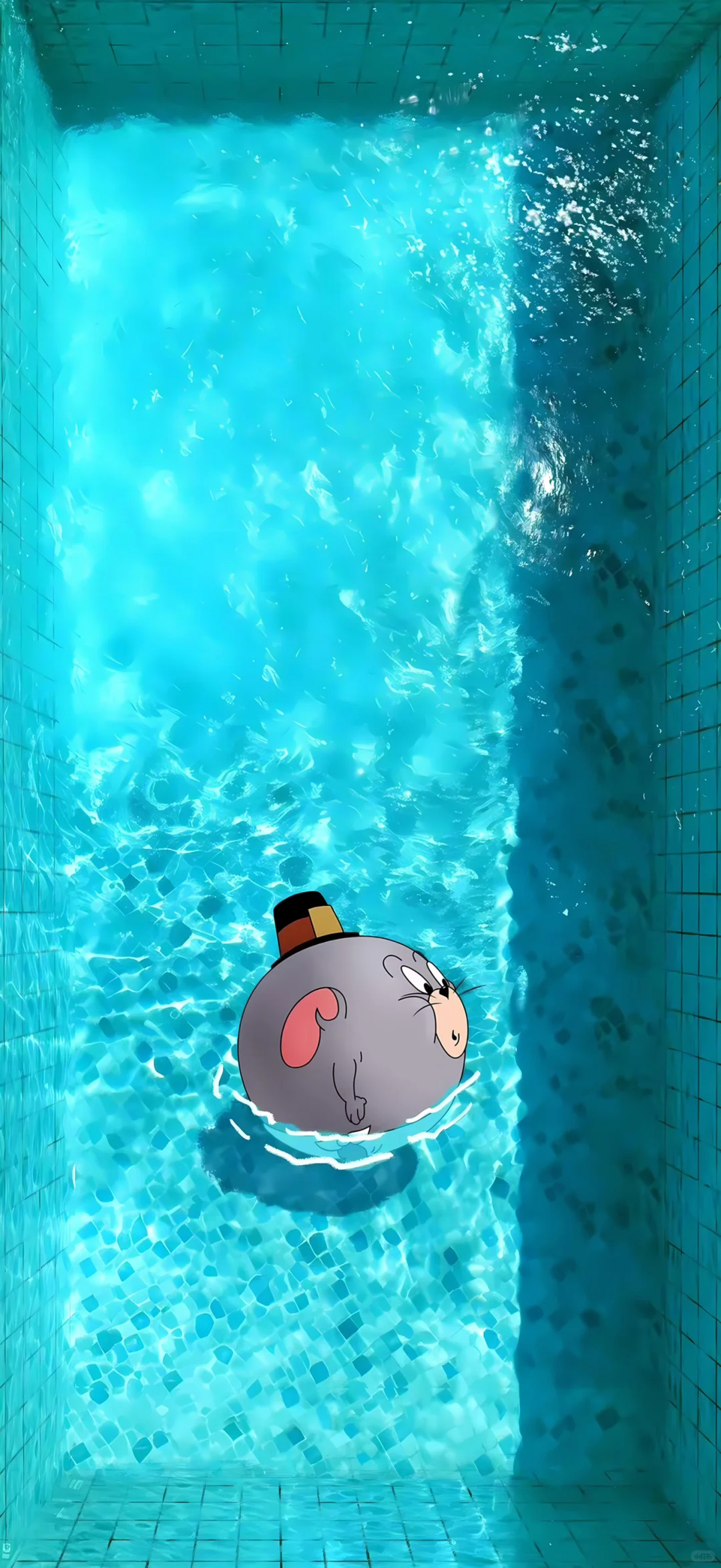 水池里的Tom and Jerry