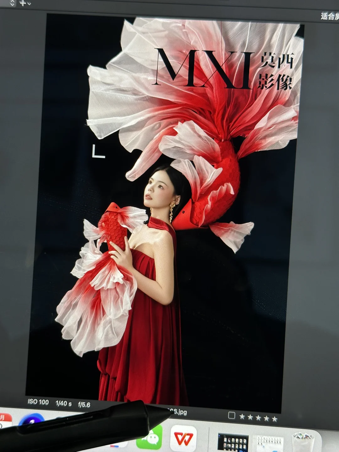 全网爆火的锦鲤