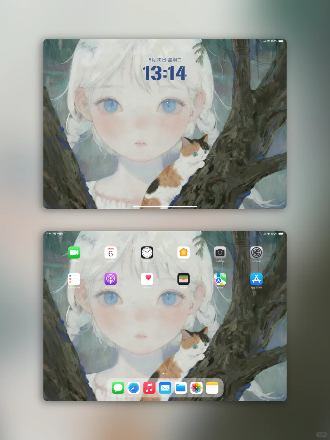 林间少女与猫｜壁纸氛围感绝了