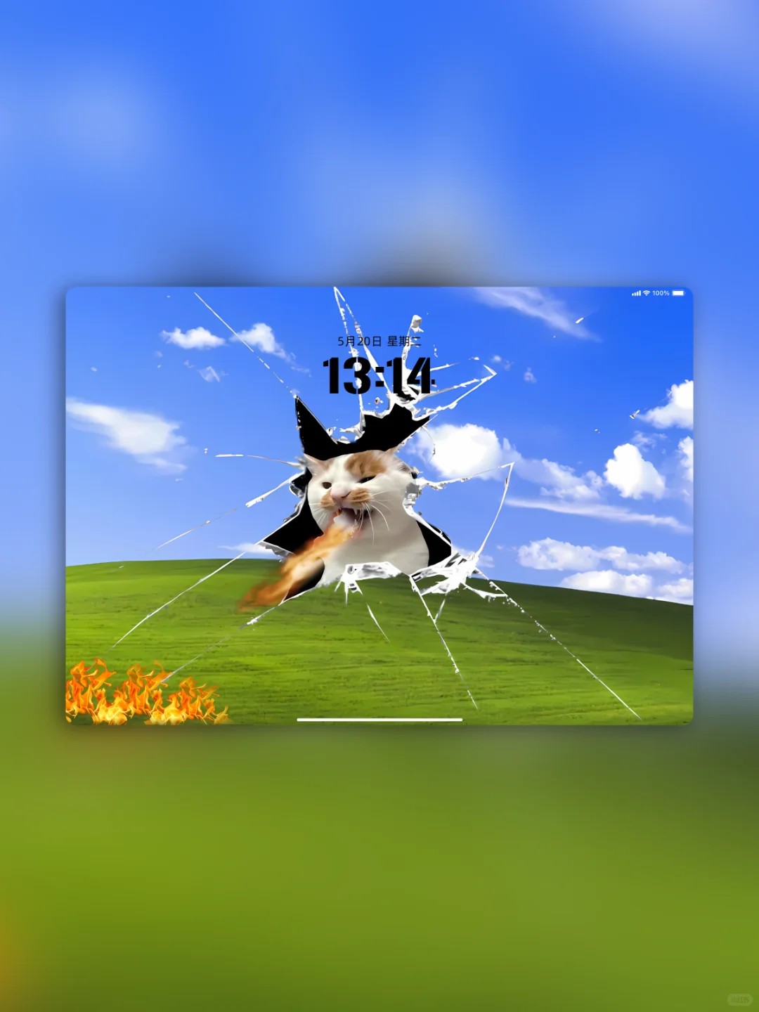 破屏暴躁猫｜电脑平板壁纸太疯