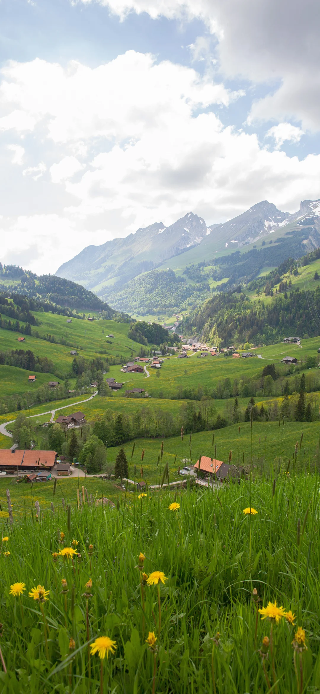 今日壁纸分享，放松一下，看看风景