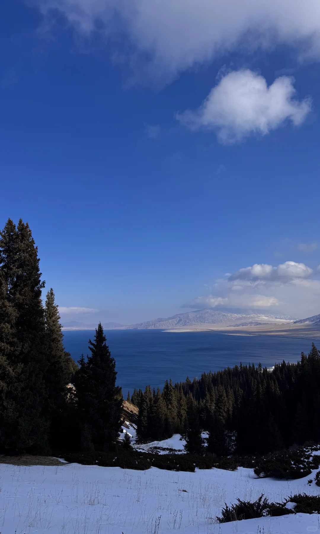 全屏live❄️live in winter