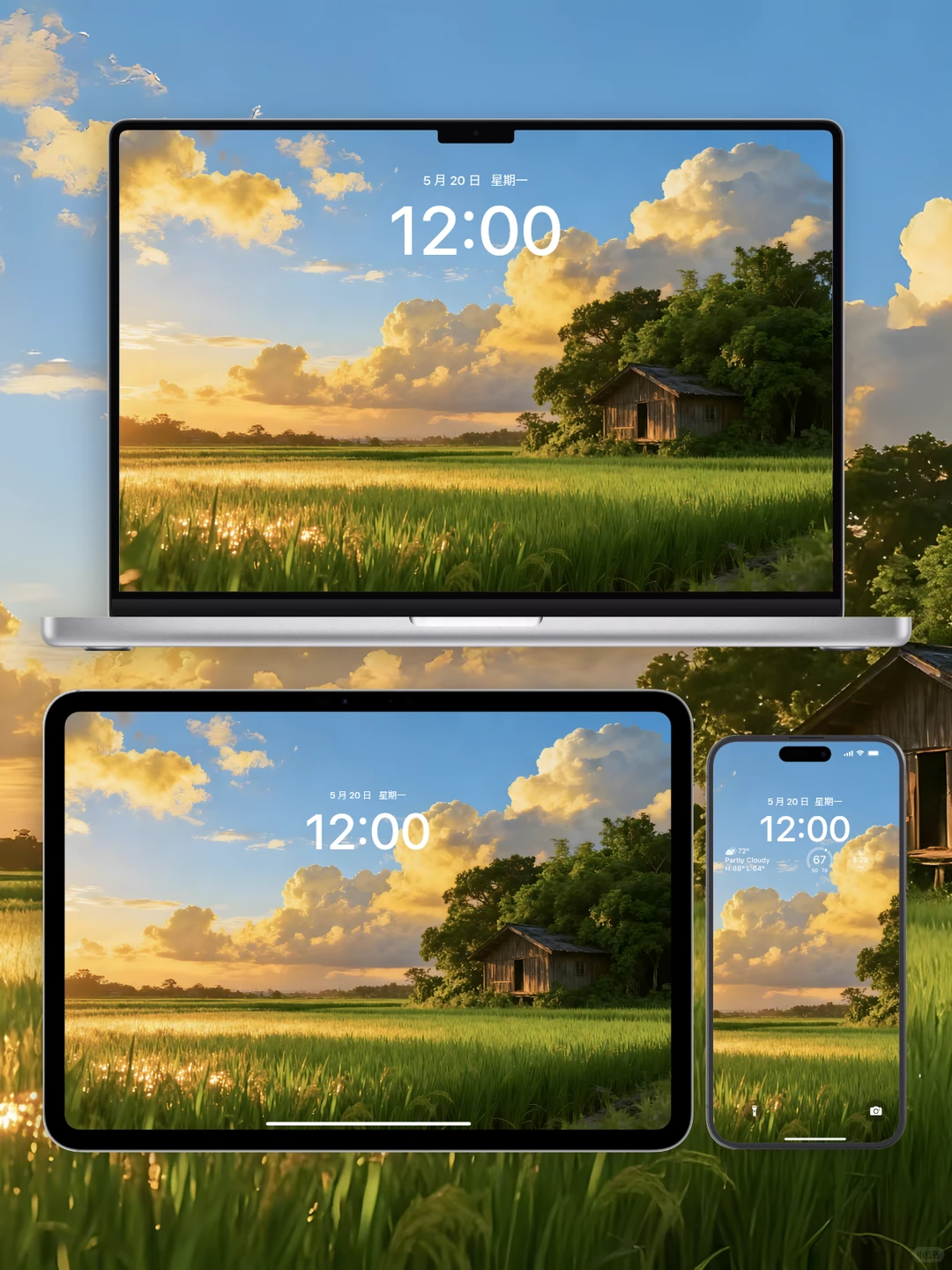 电脑壁纸 A-12落日双镜