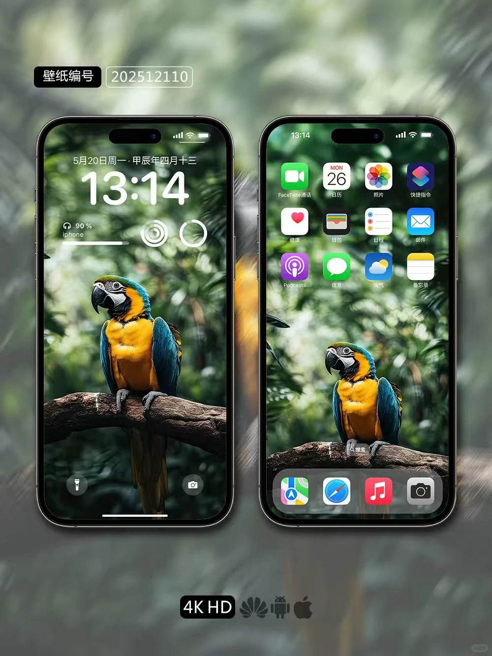 一套封神的鹦鹉壁纸多设备同步手机壁纸