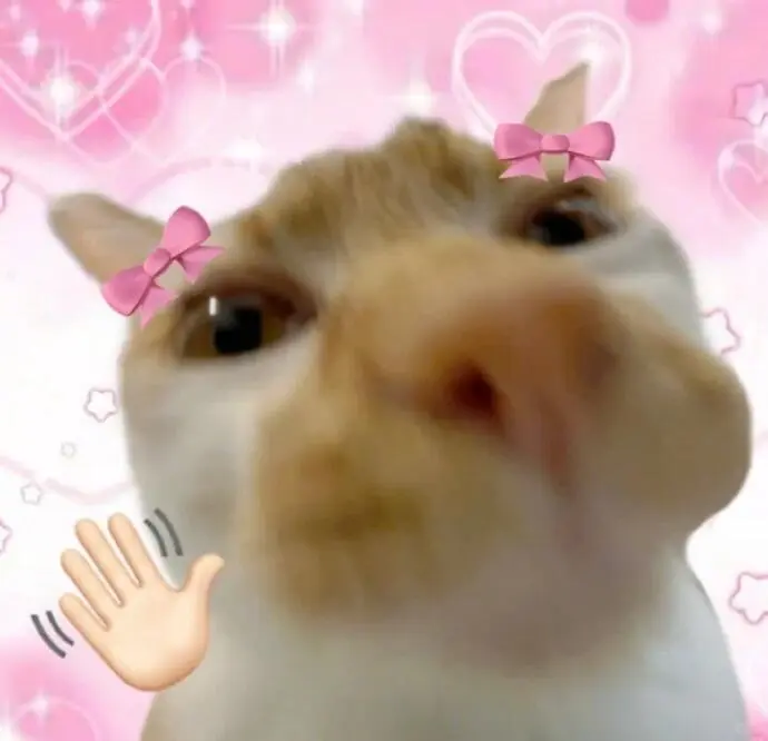 表情包 | 宝见，受你一靠子