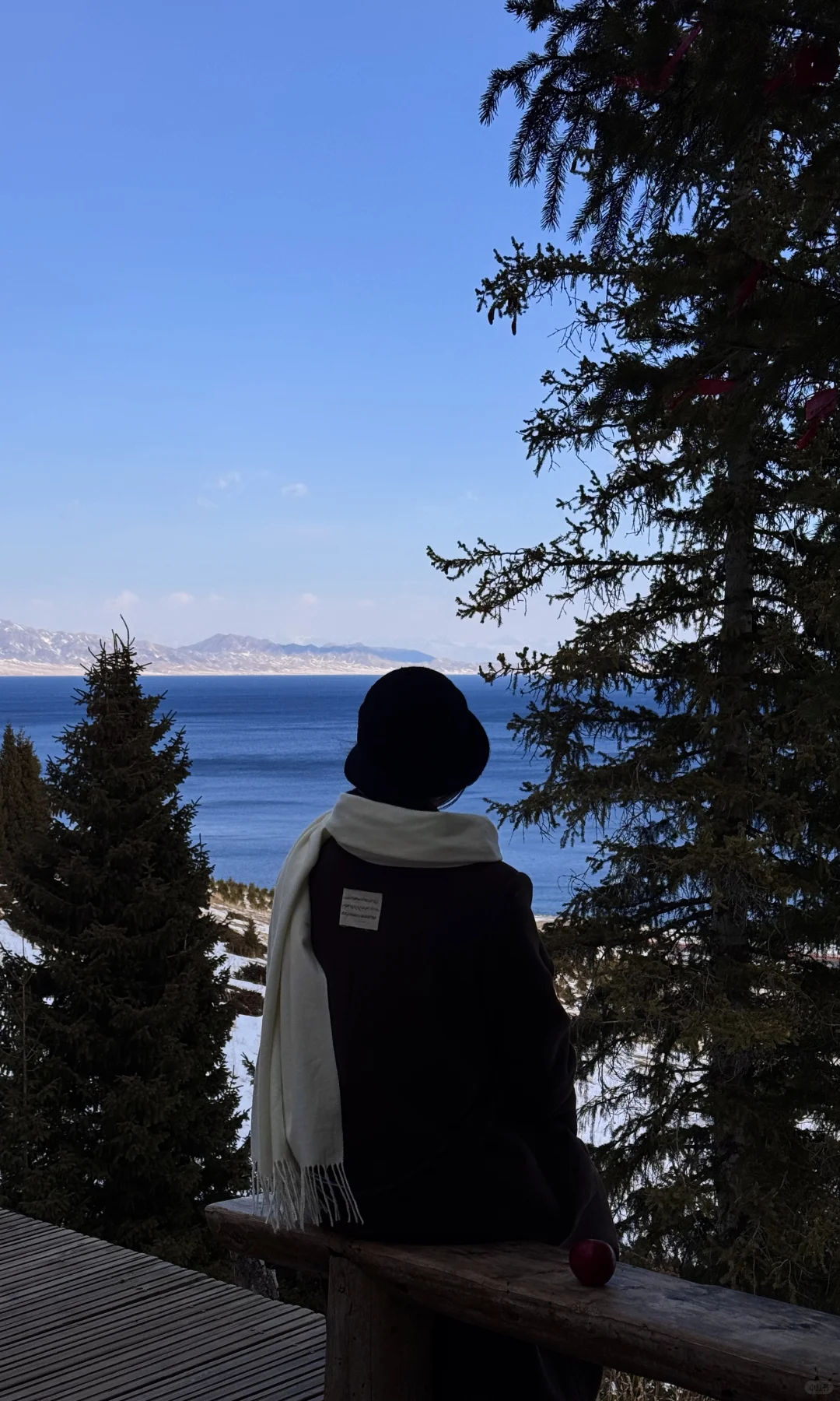 全屏live❄️live in winter