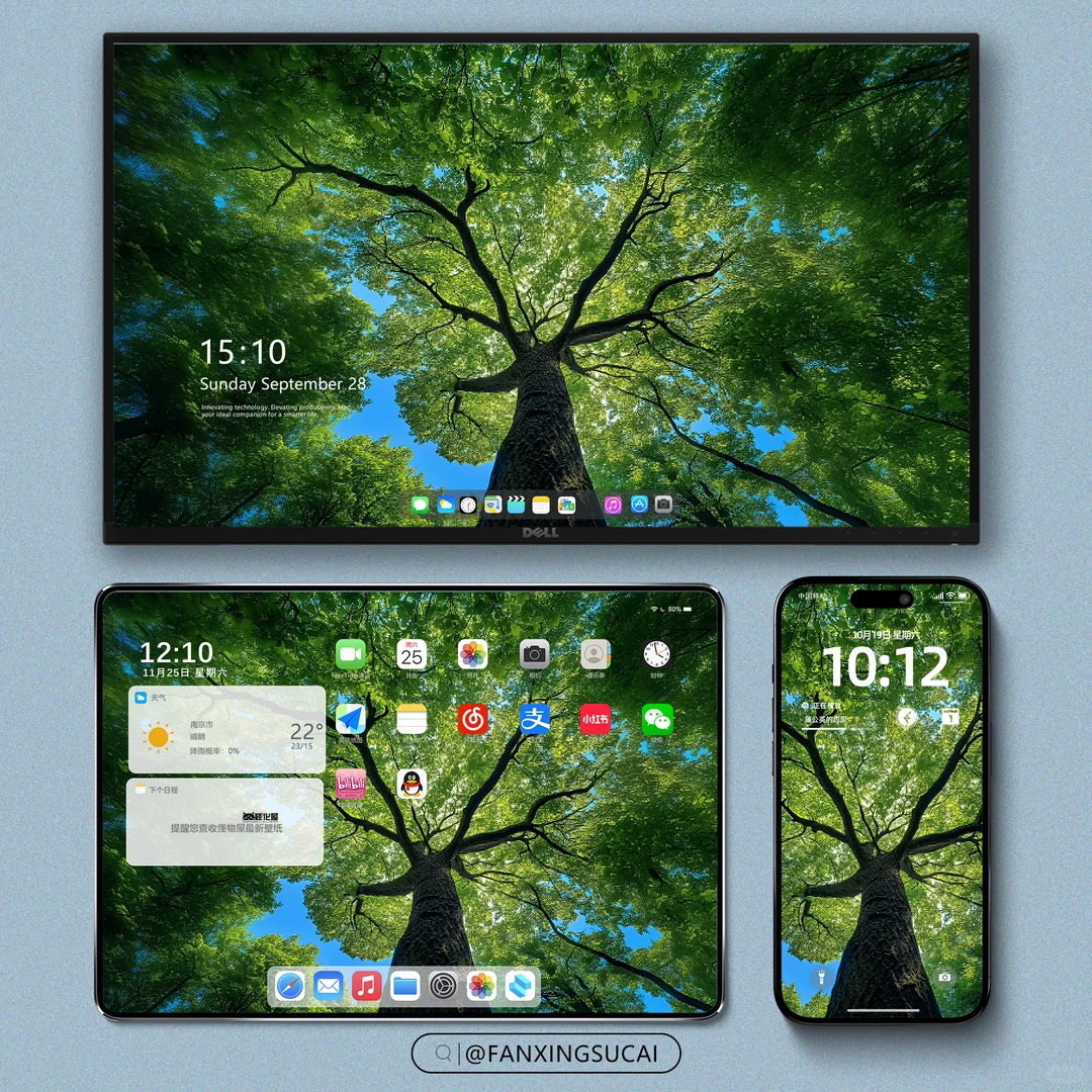 壁纸｜把树种在了桌面上🌳🌳🌳
