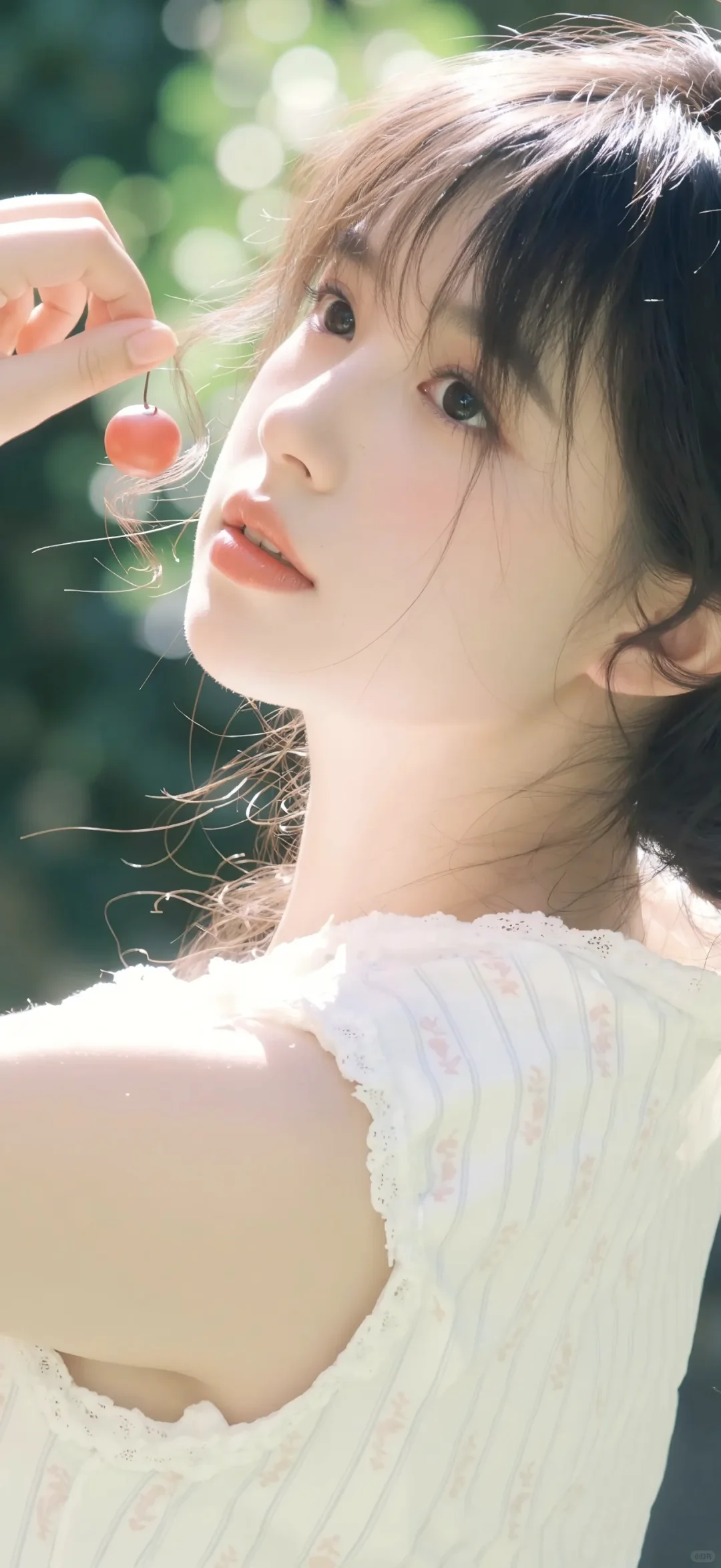 今日壁纸|小清新