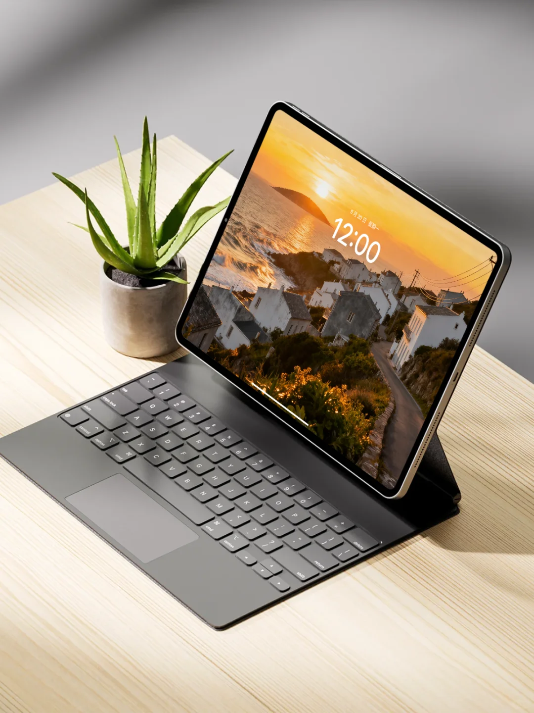 电脑壁纸 A-12落日双镜